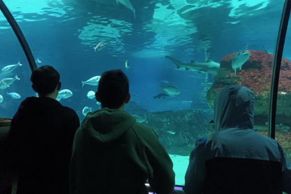 Alumnat de l'Aula d'acollida i el SIEI a l'Aquàrium de Barcelona.
