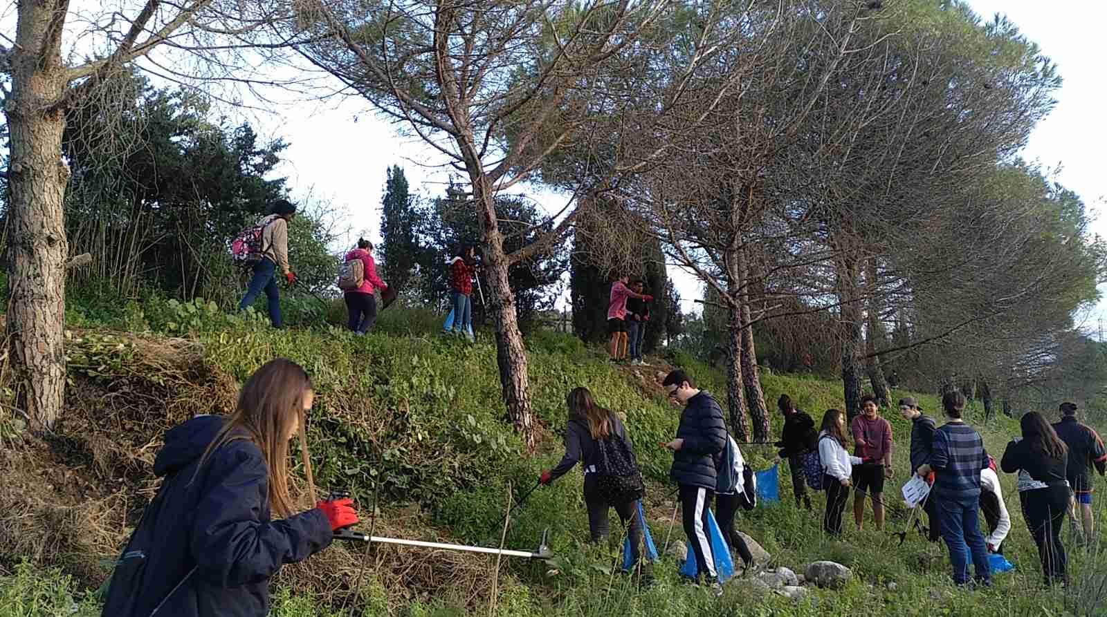 IMG_20181106_170704_946