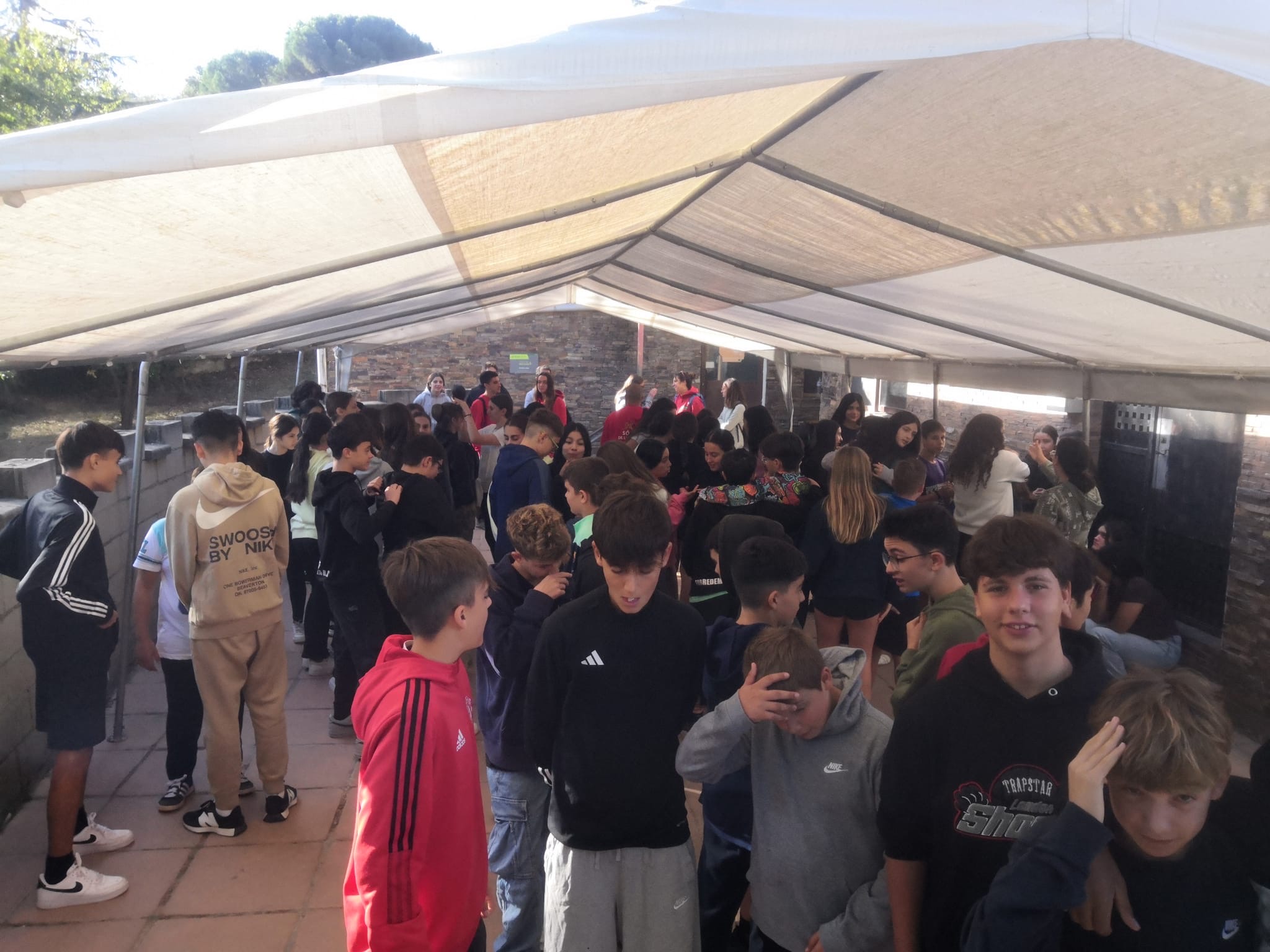 7a3250b9-dcdd-4f4a-9934-e7a6f1a024a9