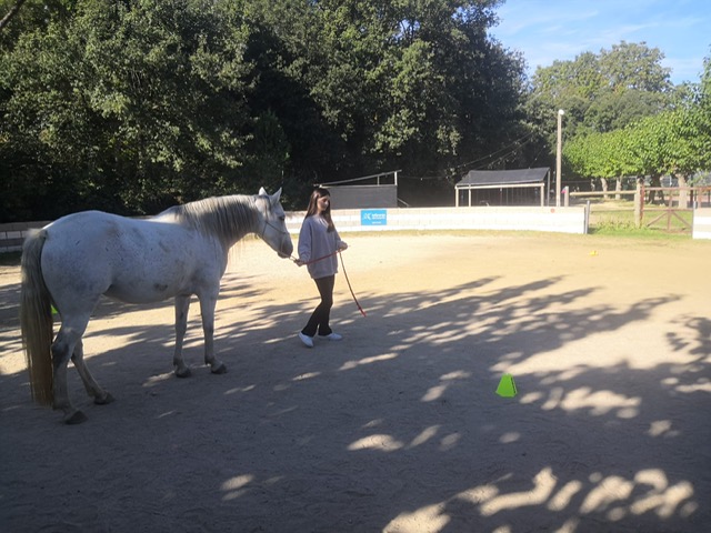 92f725a7-8f58-414a-8d9c-d95ff116173b