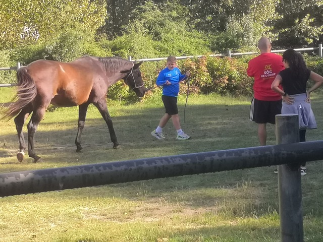 aff267f0-fd9e-48e2-80ce-fa16a3d088eb