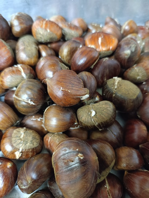 1aa98092-a95e-4136-97ae-ef7737f59189