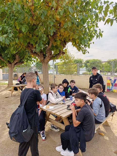 5d288846-4cc7-4f56-bd99-32e9925a587d