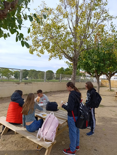 8d72f660-3874-4eed-b4d7-b6c6d805fecb