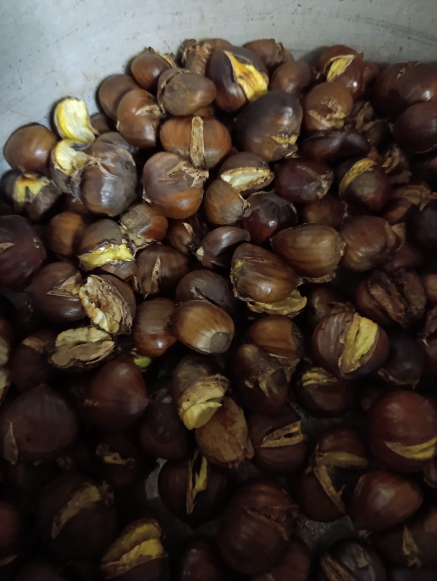 e1e27b22-9bad-473c-8c44-dd1296218ae4