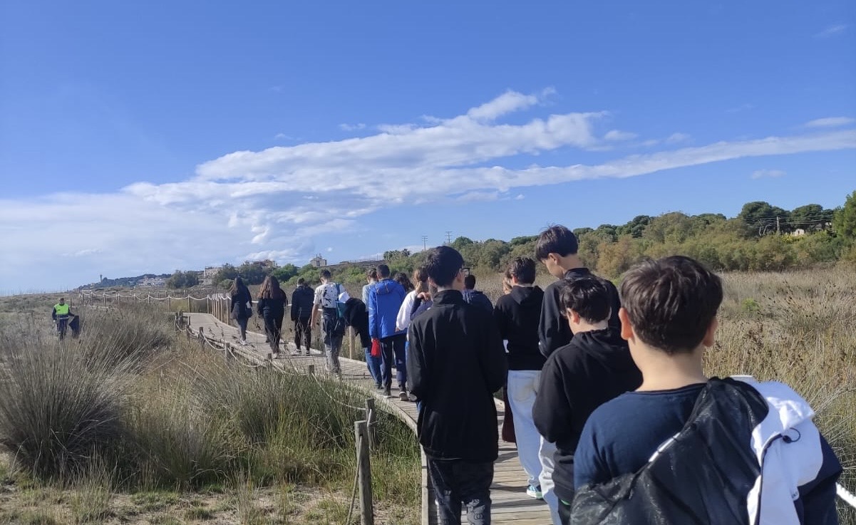 35d0f714-b32e-4a65-be26-be25066548c6