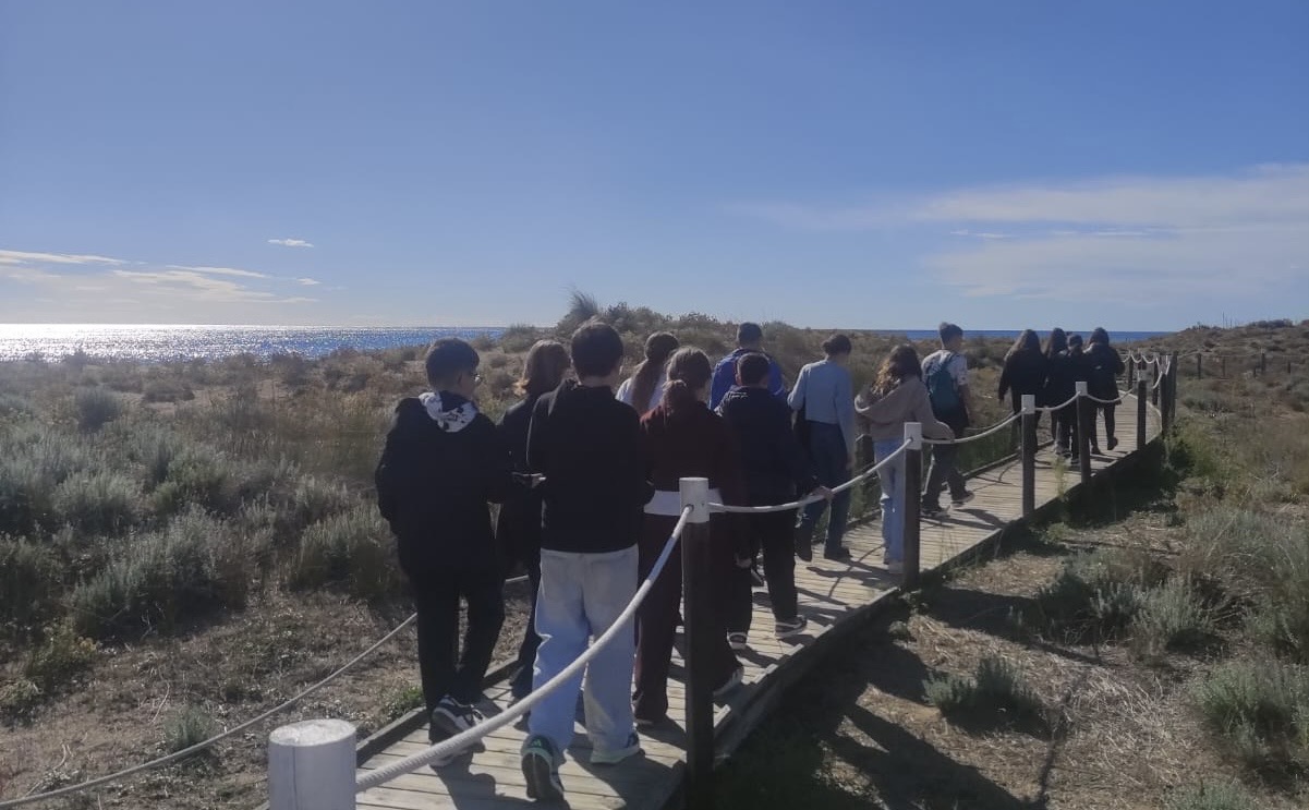 7df7f333-a2bb-4700-be19-cb9c4a607bdb