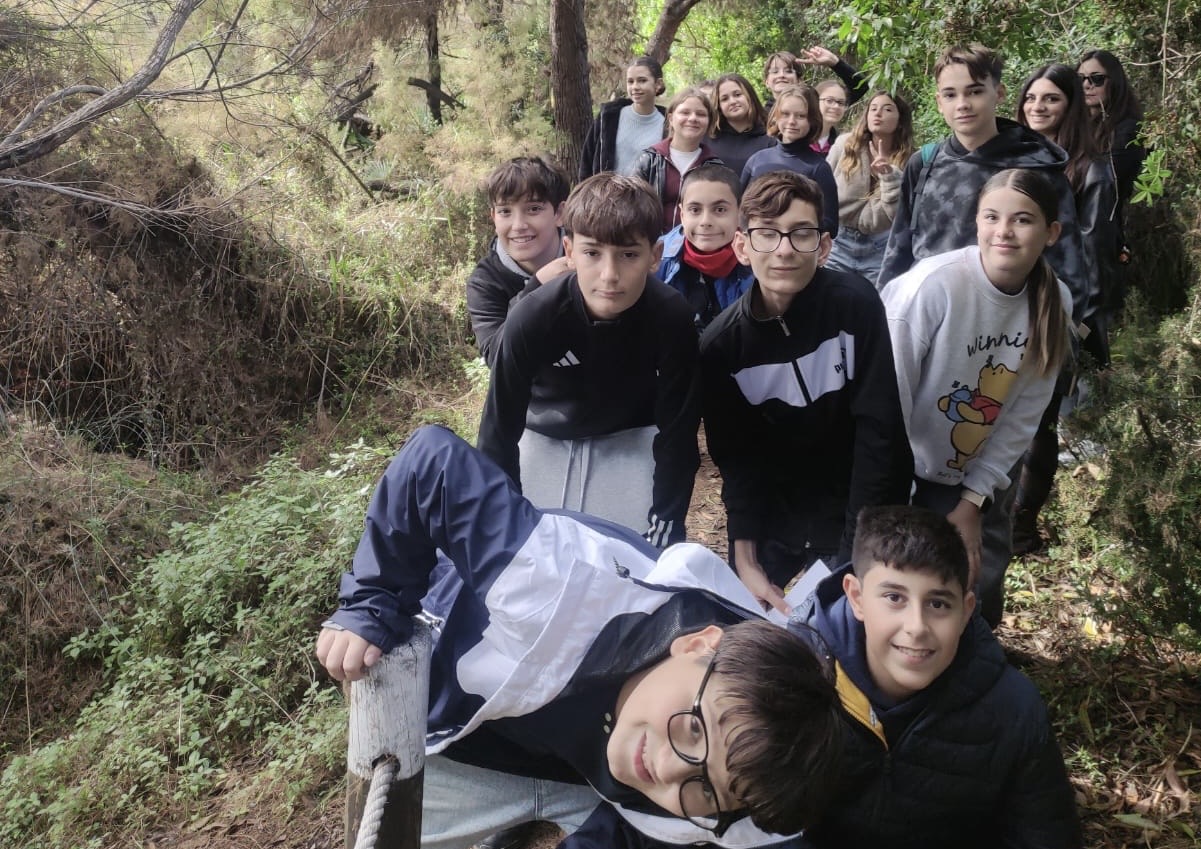 dd445475-2a47-41ee-8e9a-78a047fdc6b4