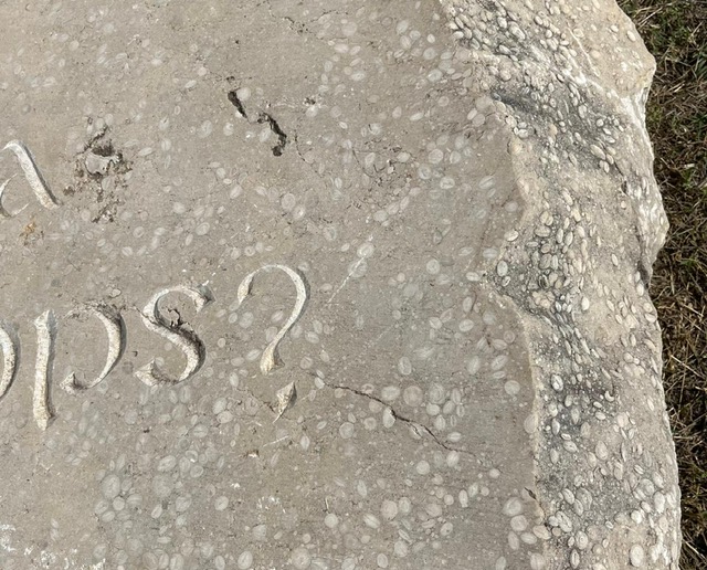 6c9aaea2-711e-4cff-8f74-279827e2af29