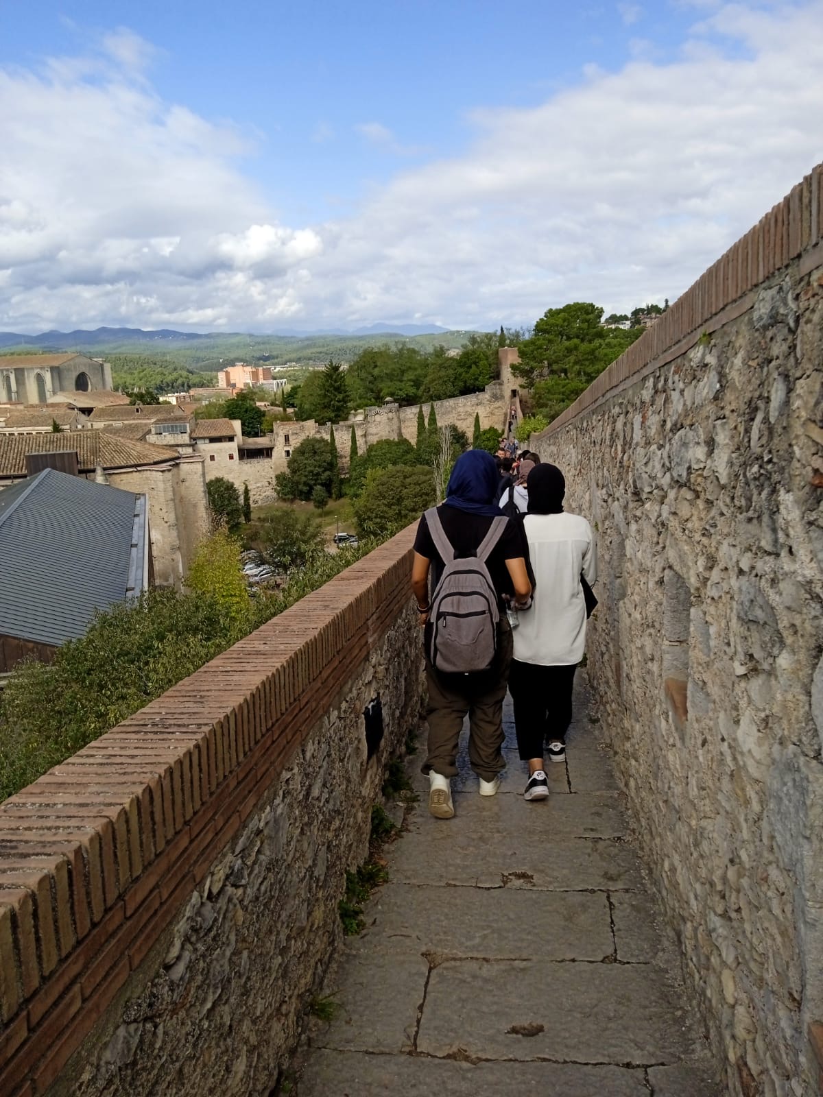 a0b20c1e-29f3-4c38-9d0c-584d44cbe20e