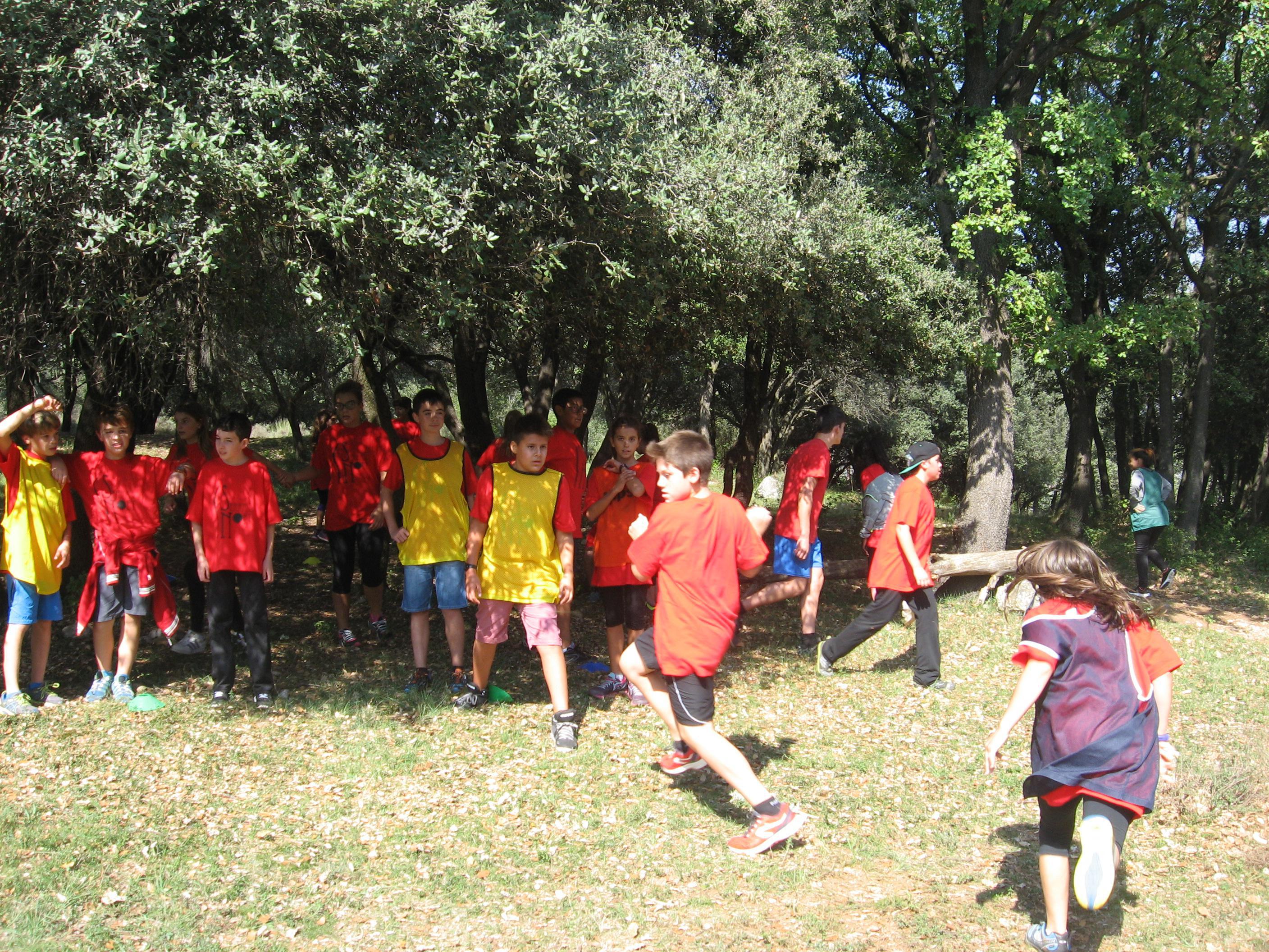 img_2424_2816x2112_2816x2112