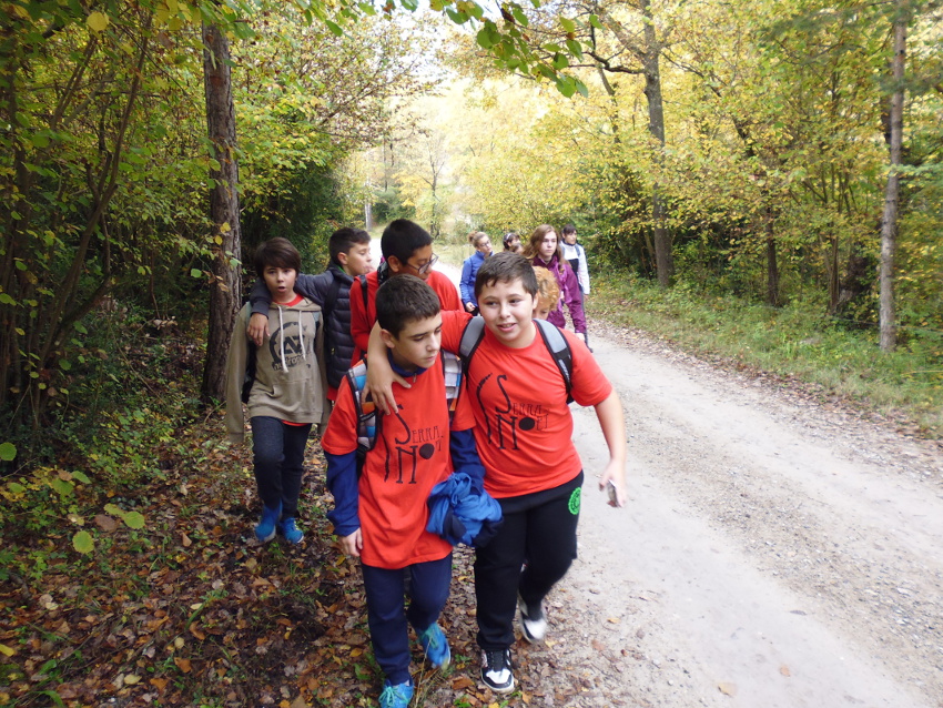 caminant-a-la-mina-2