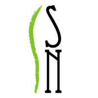 Institut Serra de Noet