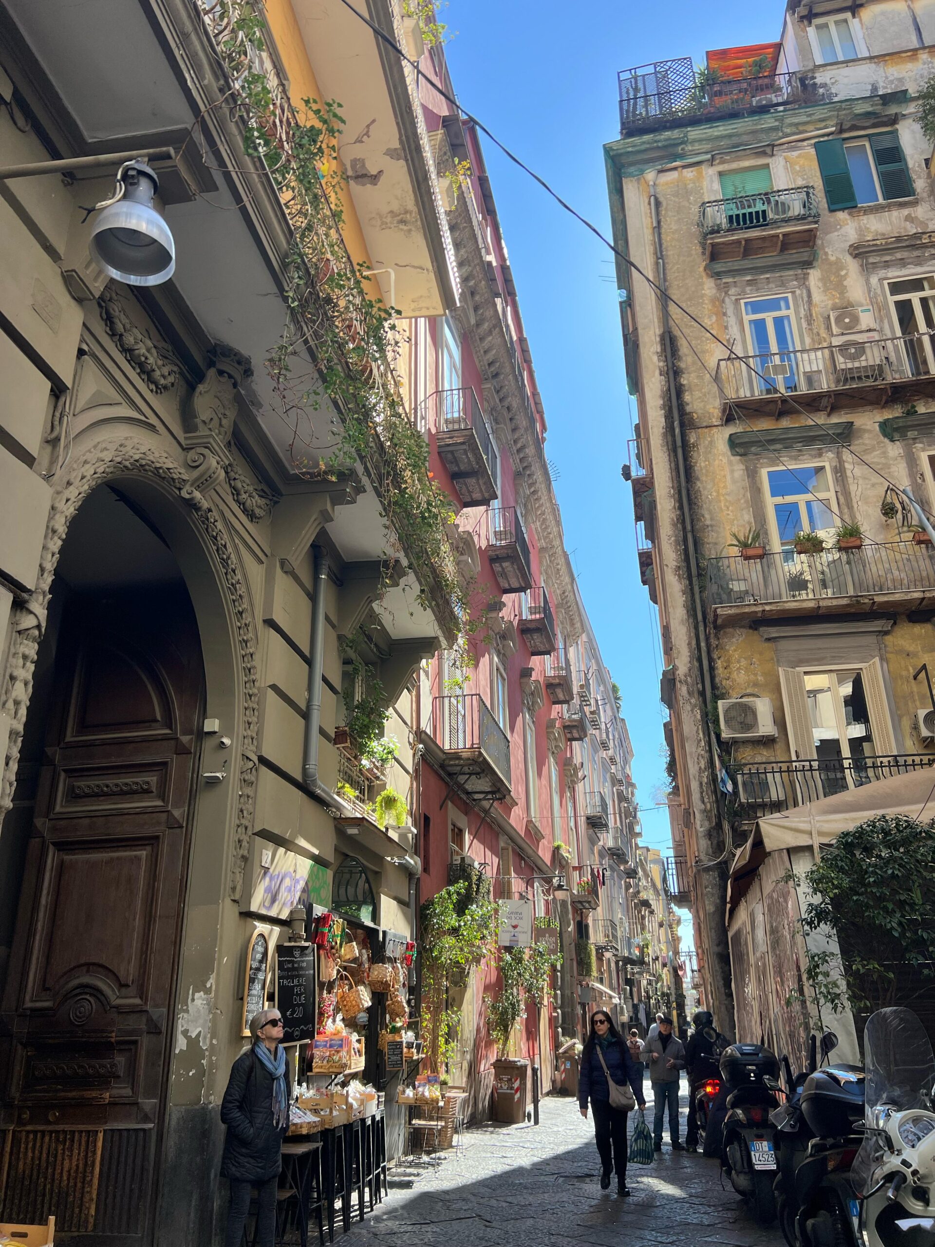 WhatsApp Image 2025-03-18 at 17.54.32