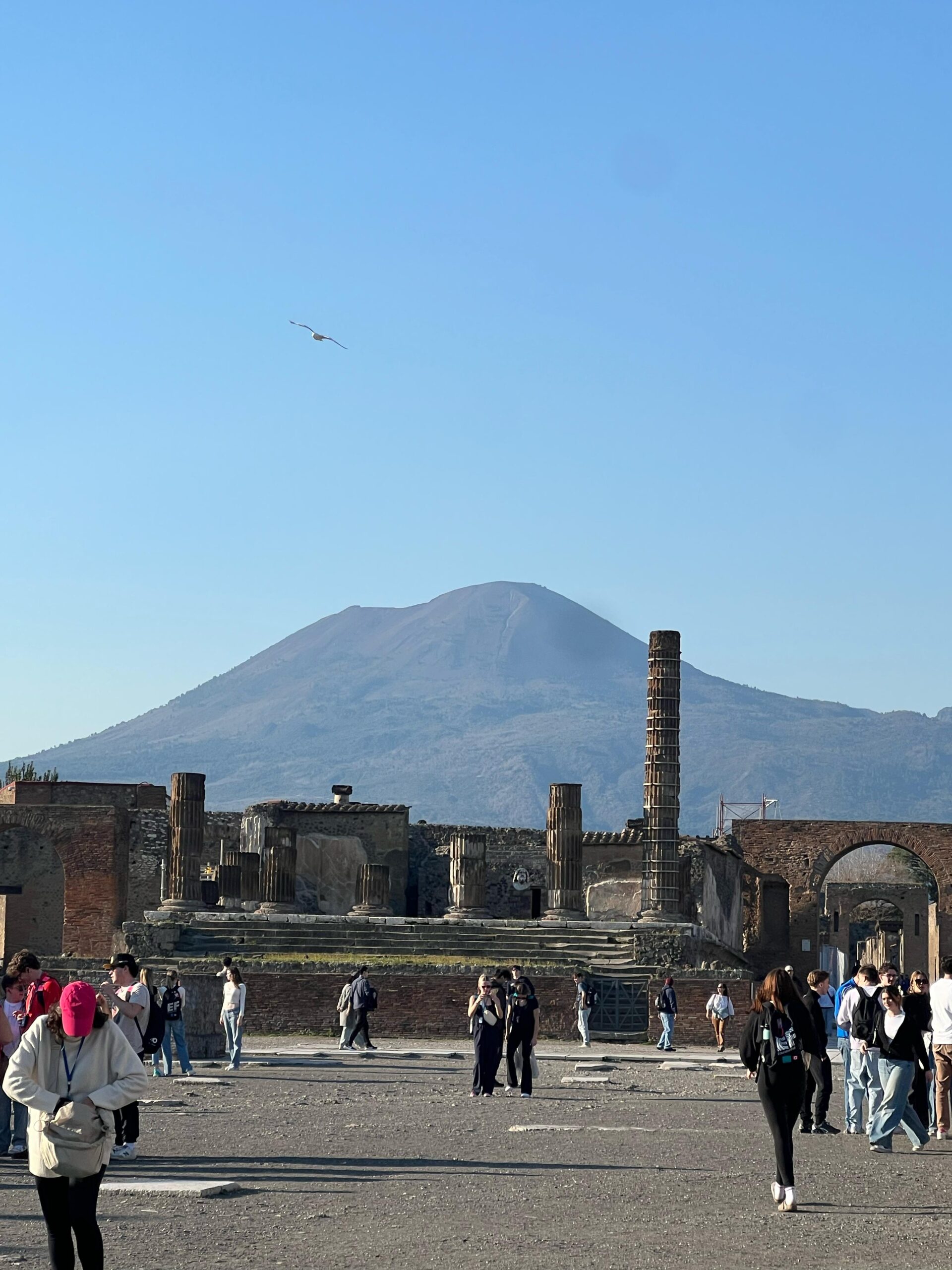 WhatsApp Image 2025-03-18 at 17.54.38 (1)