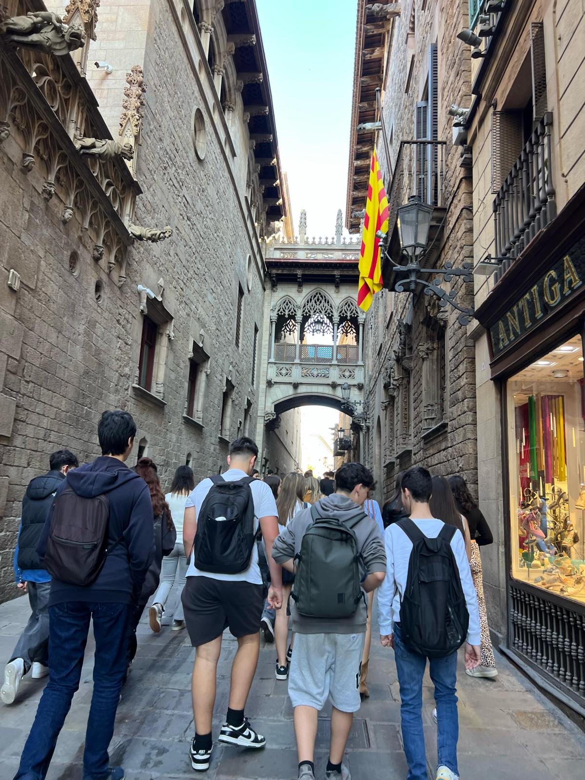 WhatsApp Image 2025-04-23 at 15.23.40