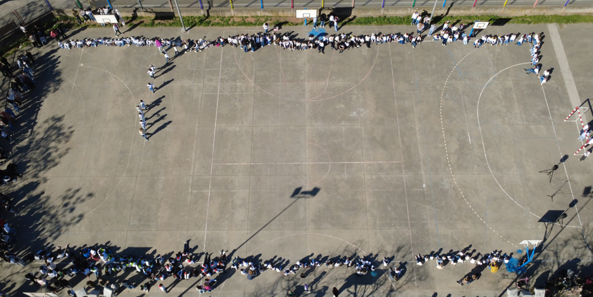 Captura de pantalla 2026-03-27 113429