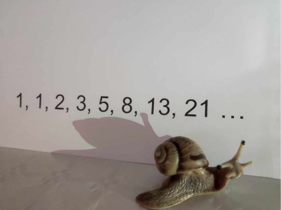 L'ombra allargada de Fibonacci (Biel Moreno 2nC)