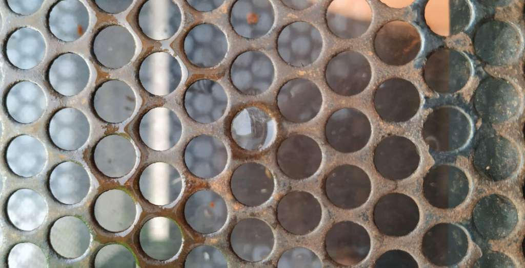 Rusc perlat (Meritxell Cruañas, Cat. E)