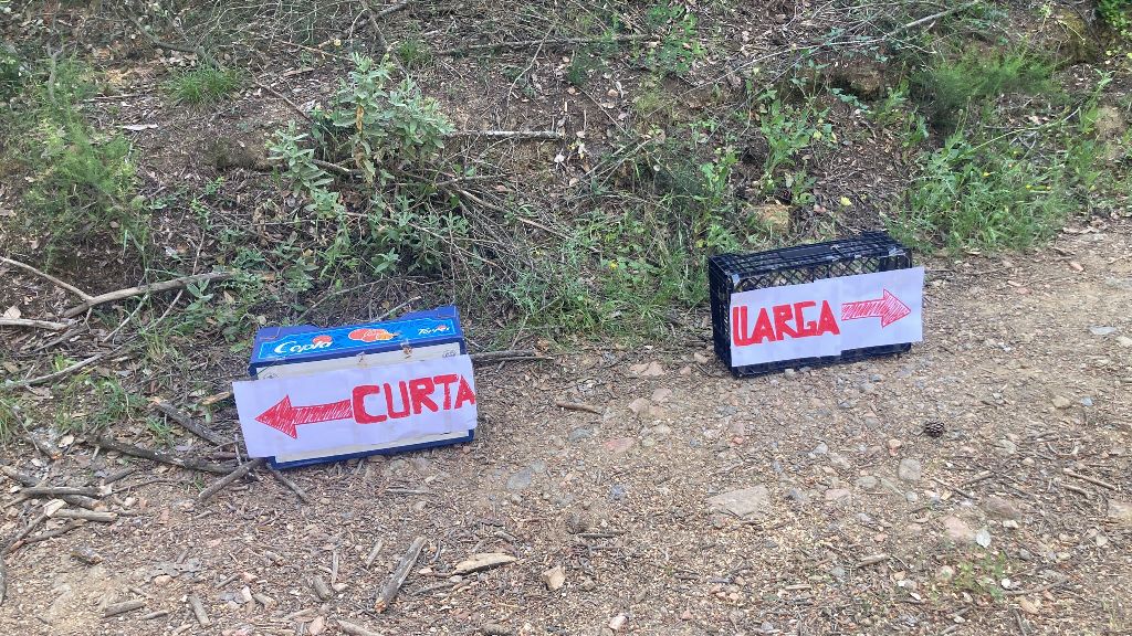 PHOTO-2022-05-15-22-30-20