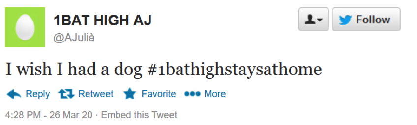 Els qui han entès ara la importància de tenir mascota...