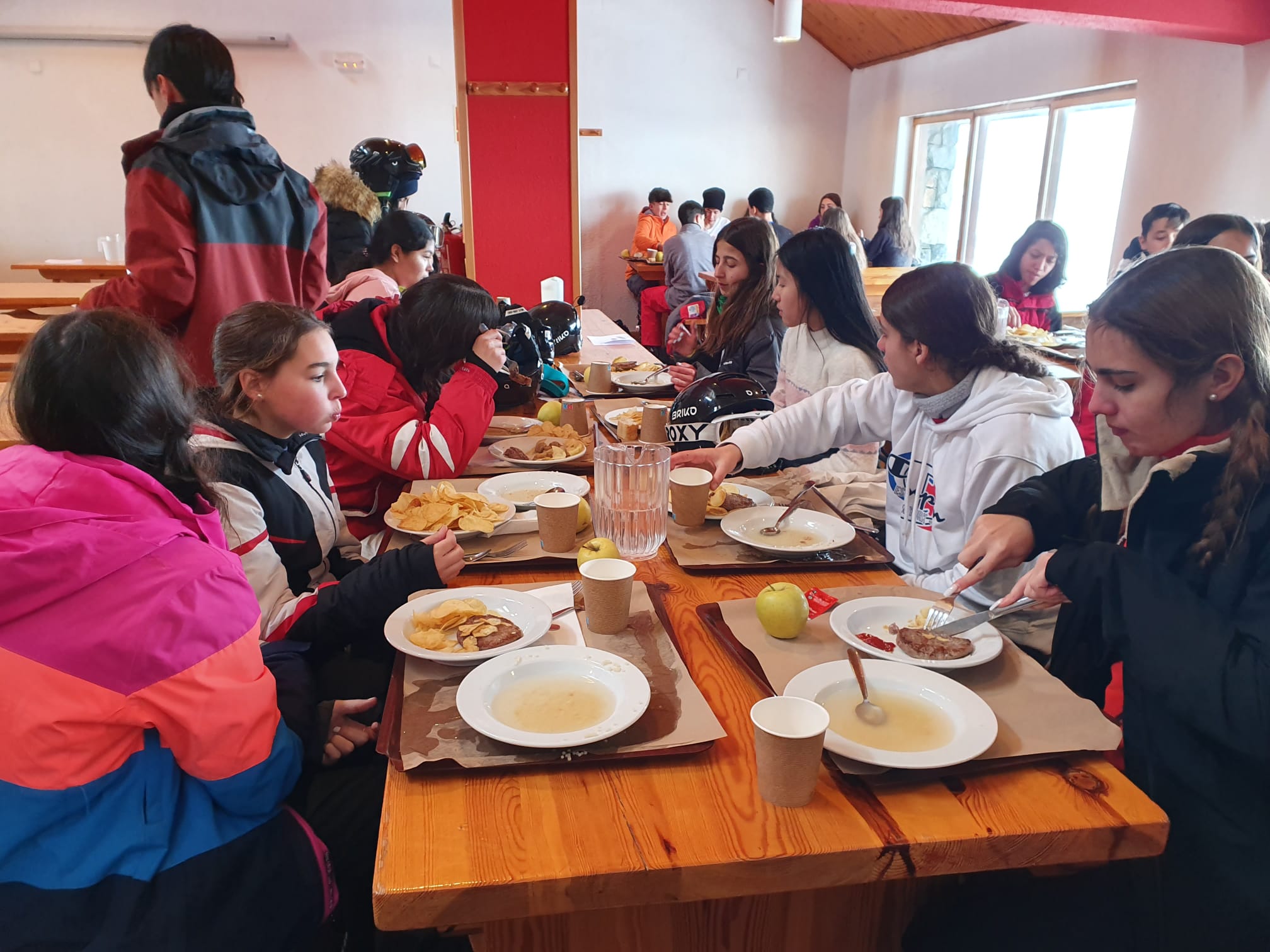 WhatsApp Image 2023-02-08 at 19.17.47 còpia