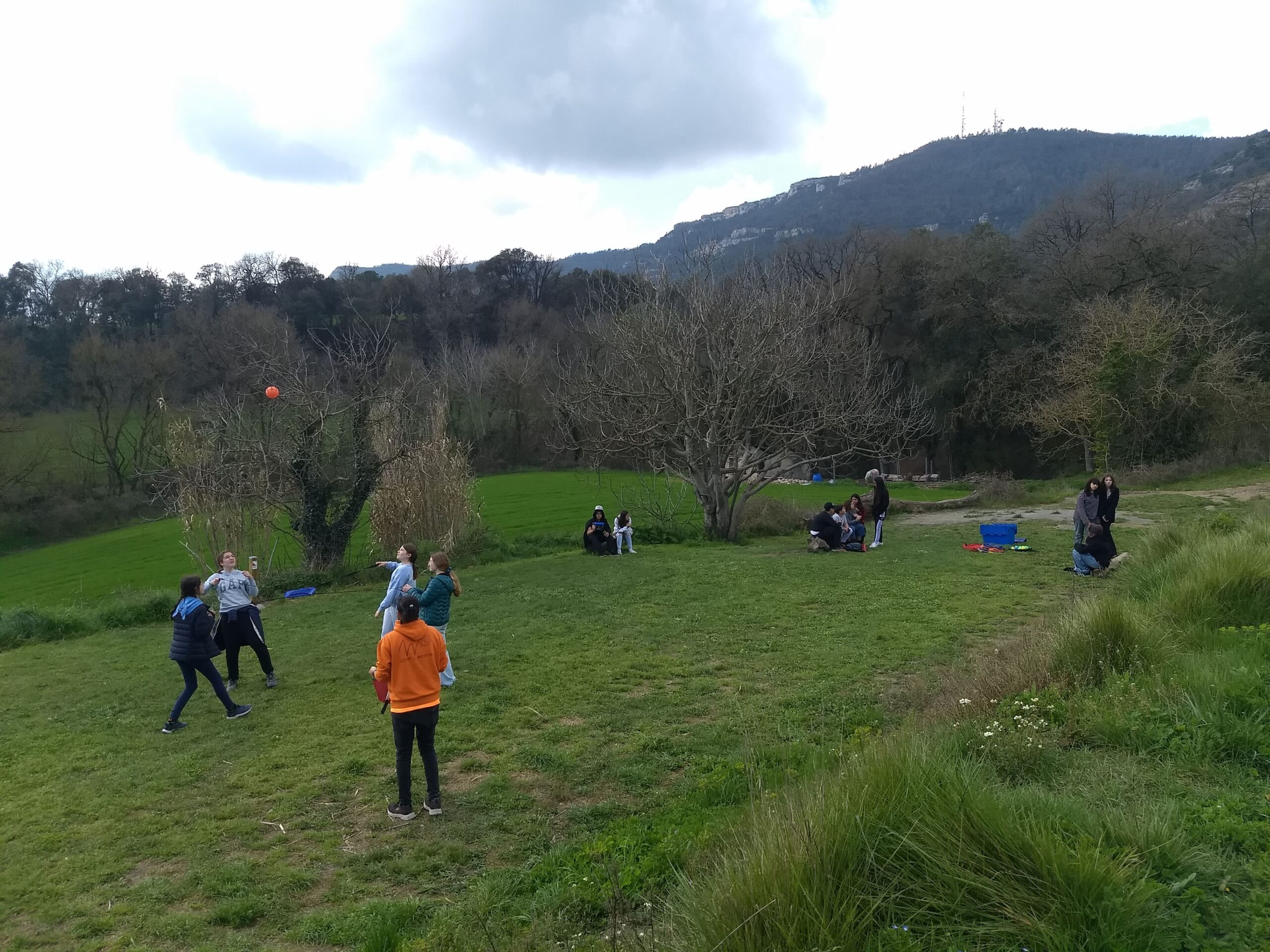 IMG_20250328_114804905