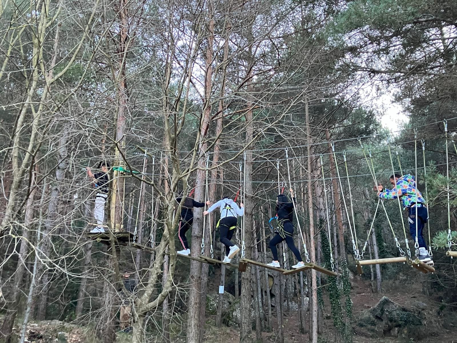 WhatsApp Image 2026-03-13 at 13.45.55 (1)