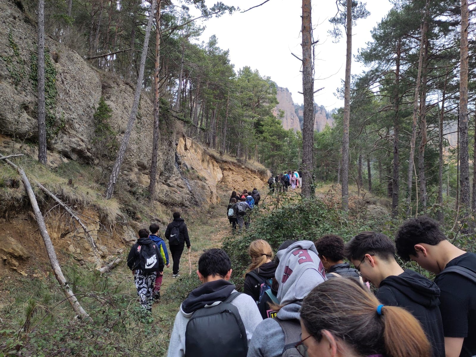 WhatsApp Image 2026-03-13 at 15.26.44 (1)