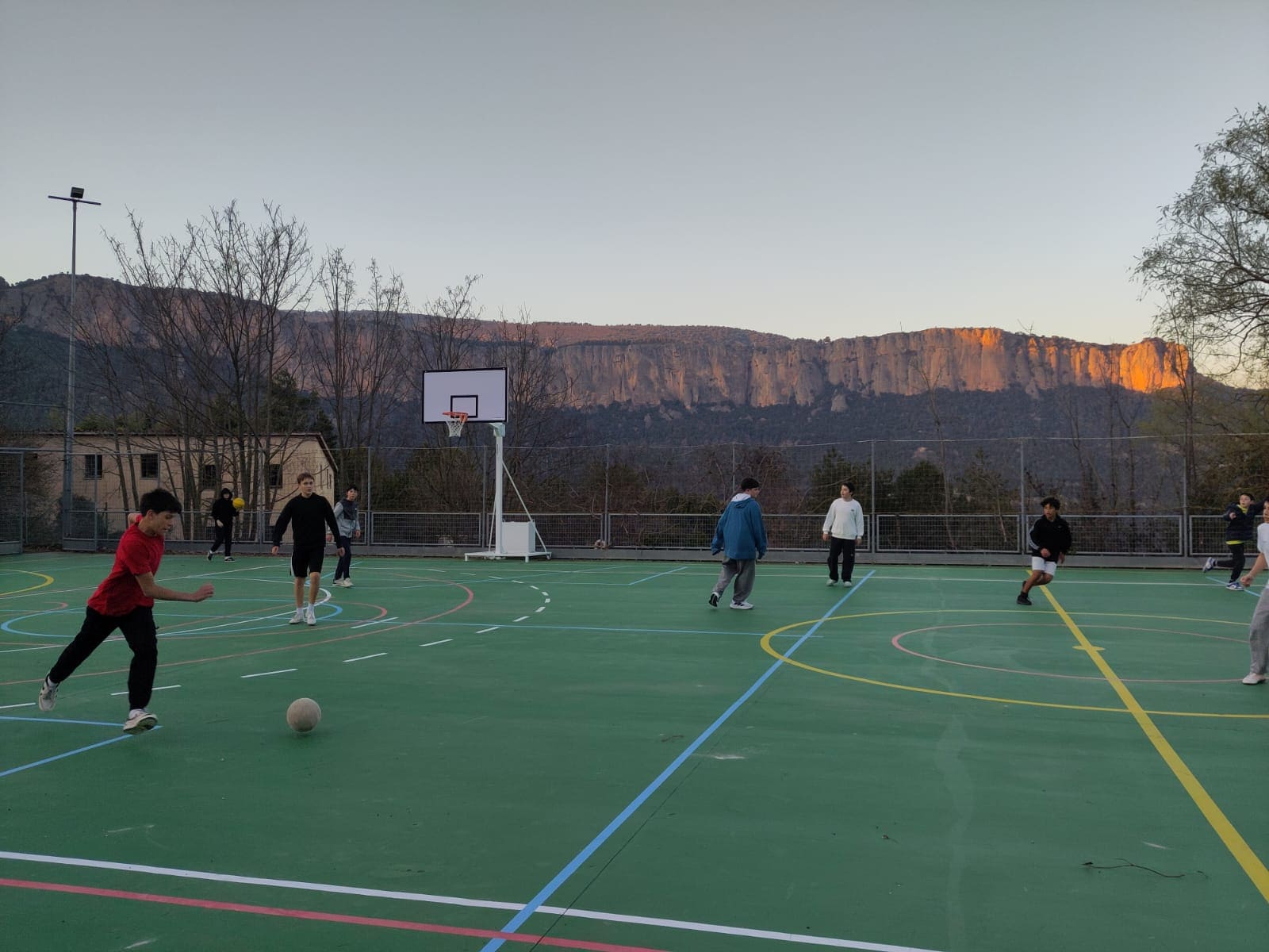 WhatsApp Image 2026-03-13 at 15.29.02