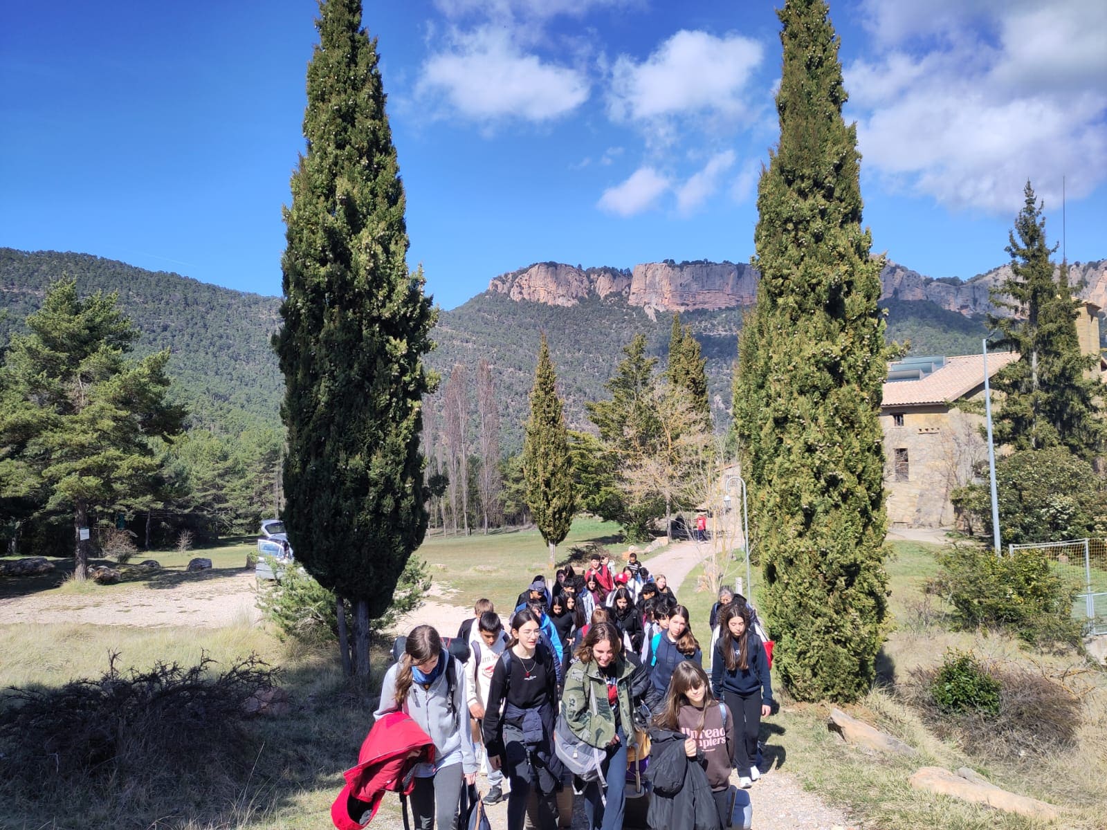 WhatsApp Image 2026-03-13 at 15.29.06 (1)