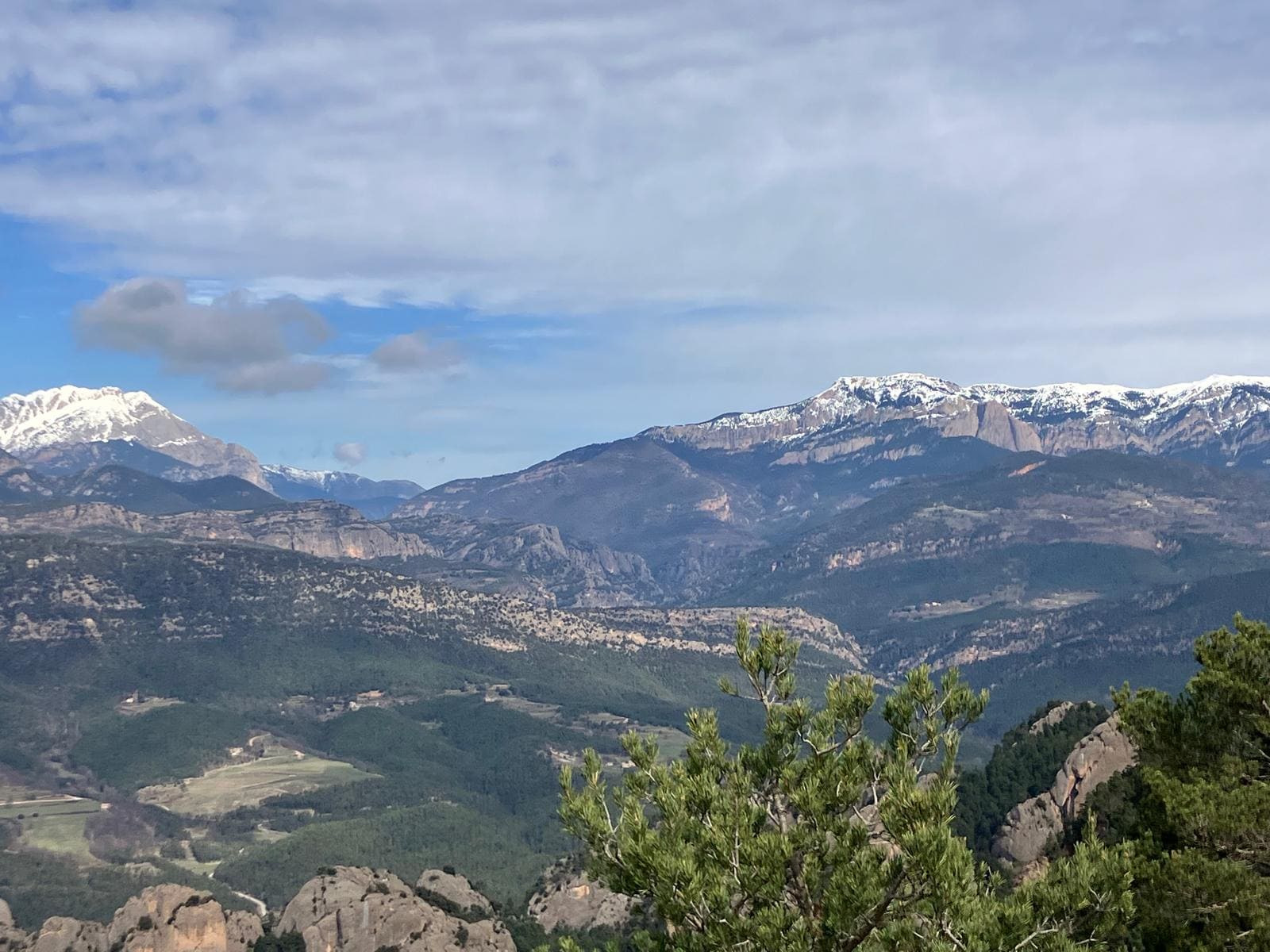 WhatsApp Image 2026-03-14 at 08.21.33