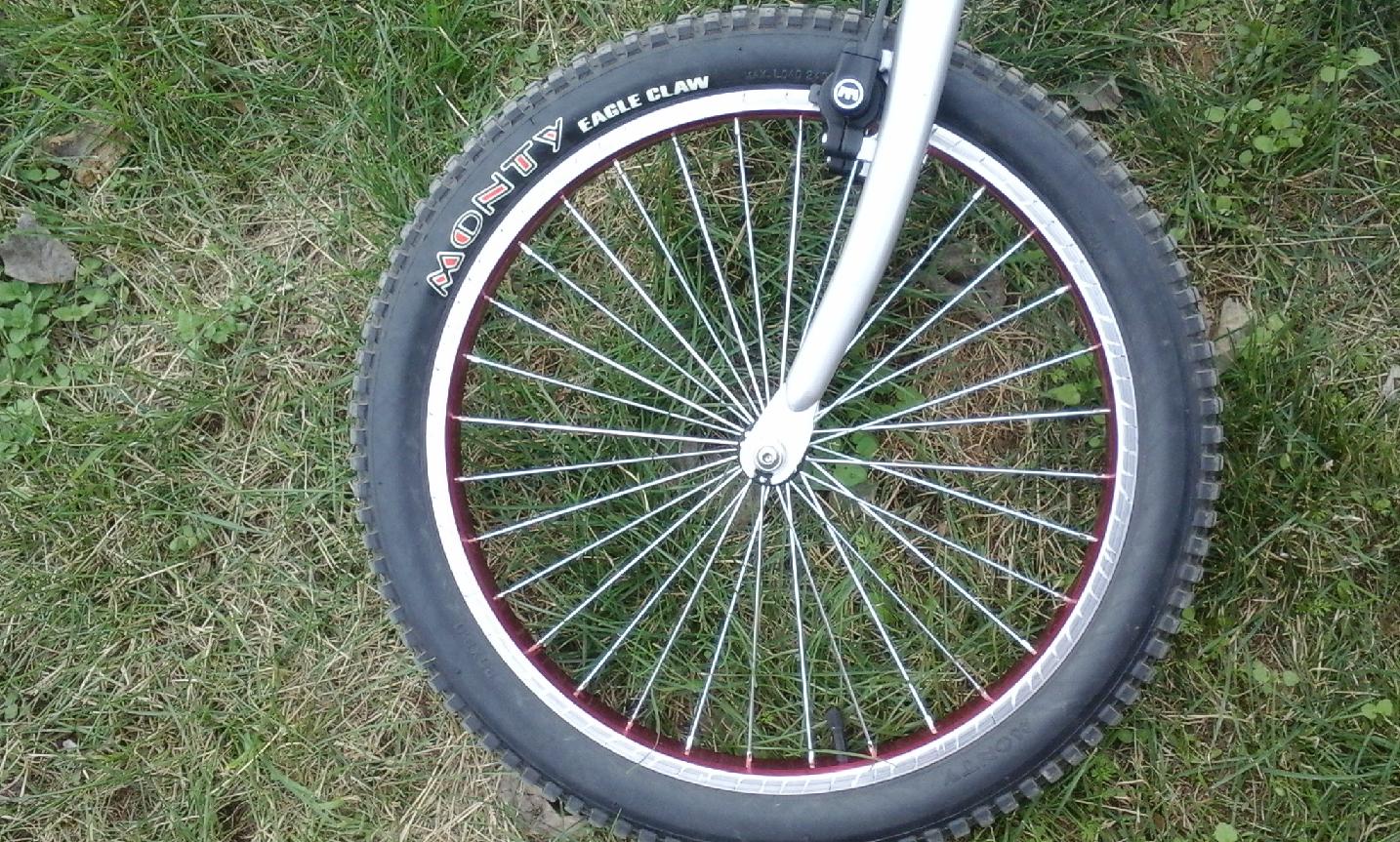 Rosales_radis a tutiplen