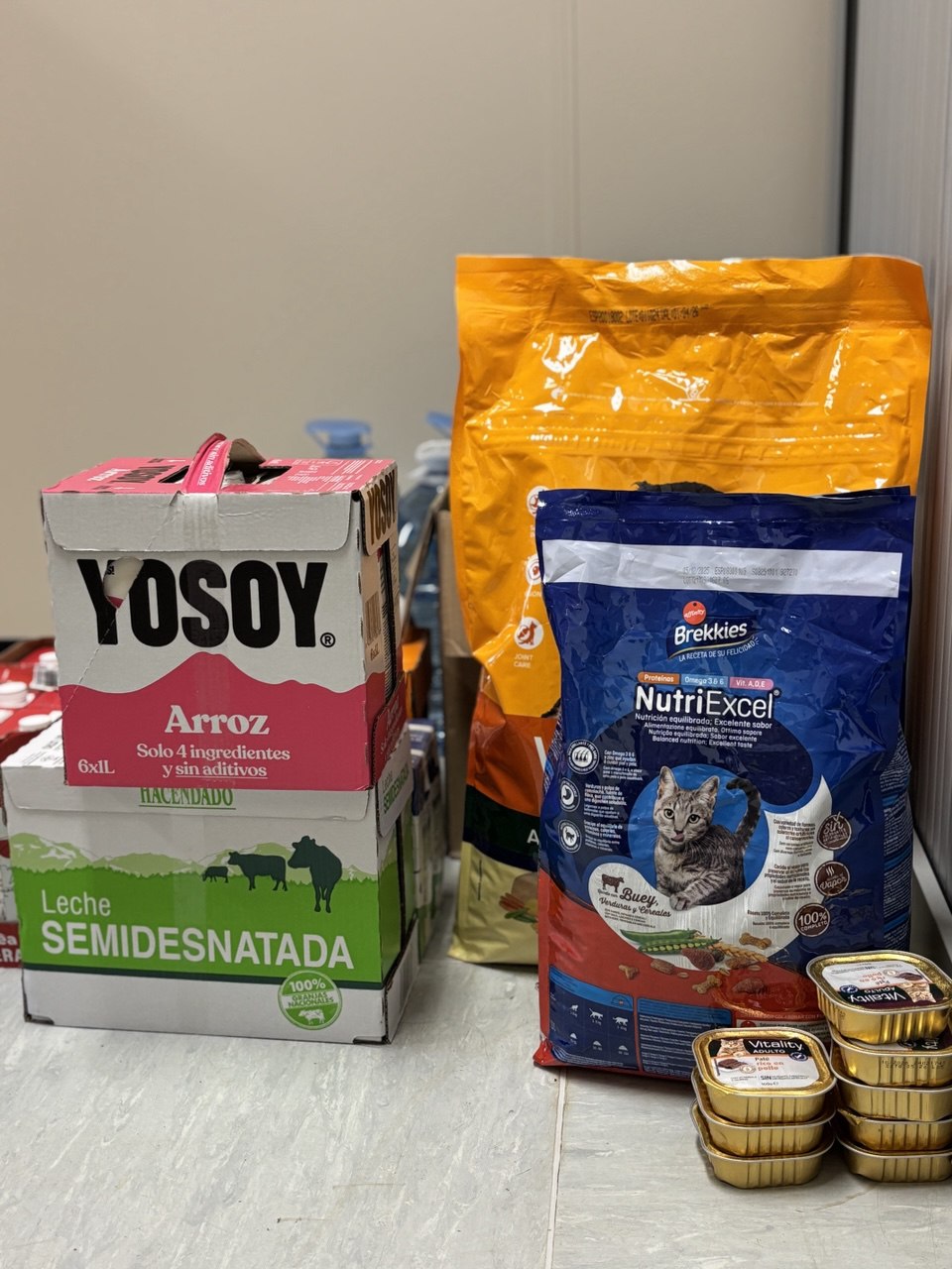 photo_2024-11-07 06.47.06