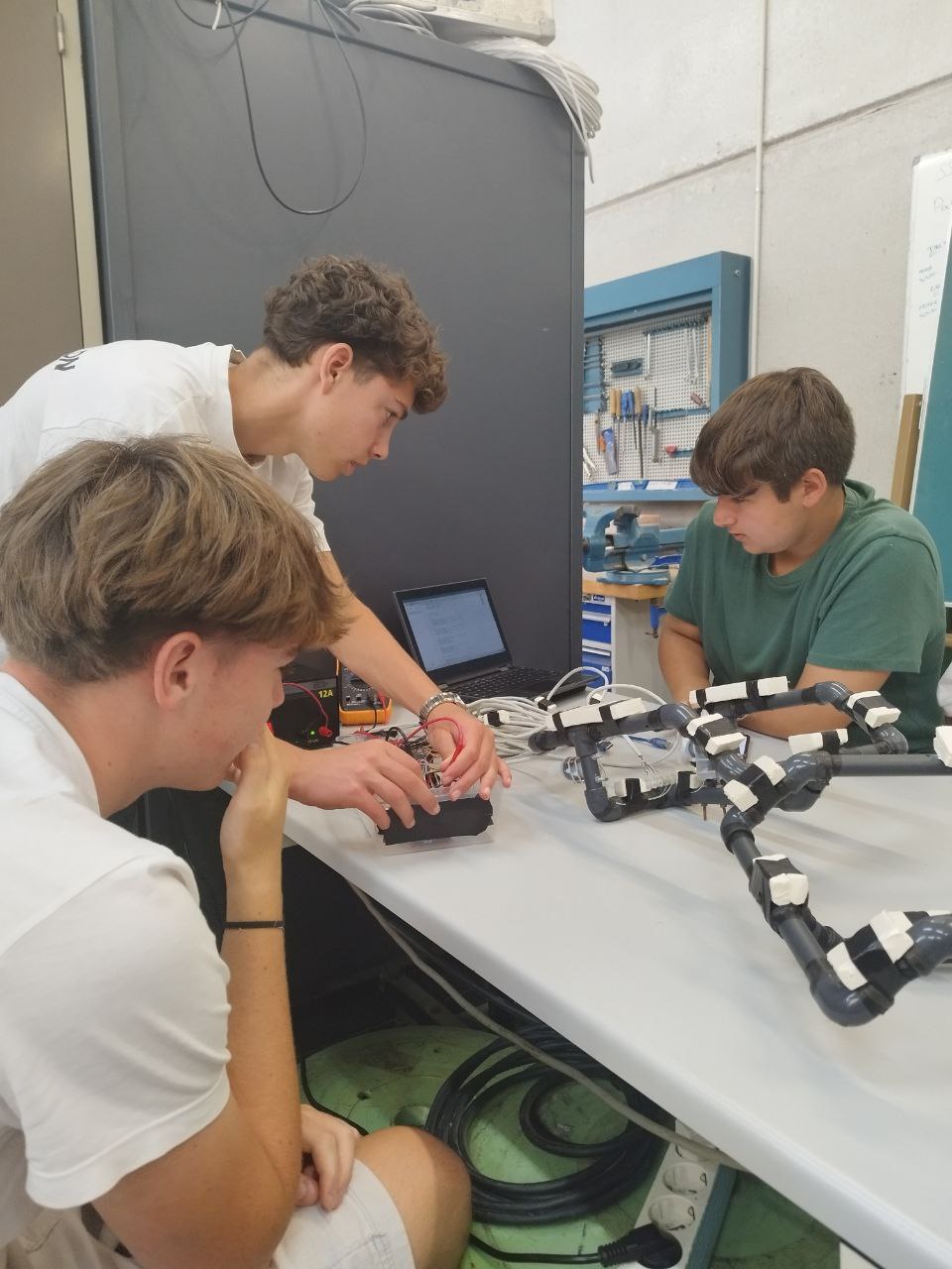 photo_2025-06-17 17.53.21