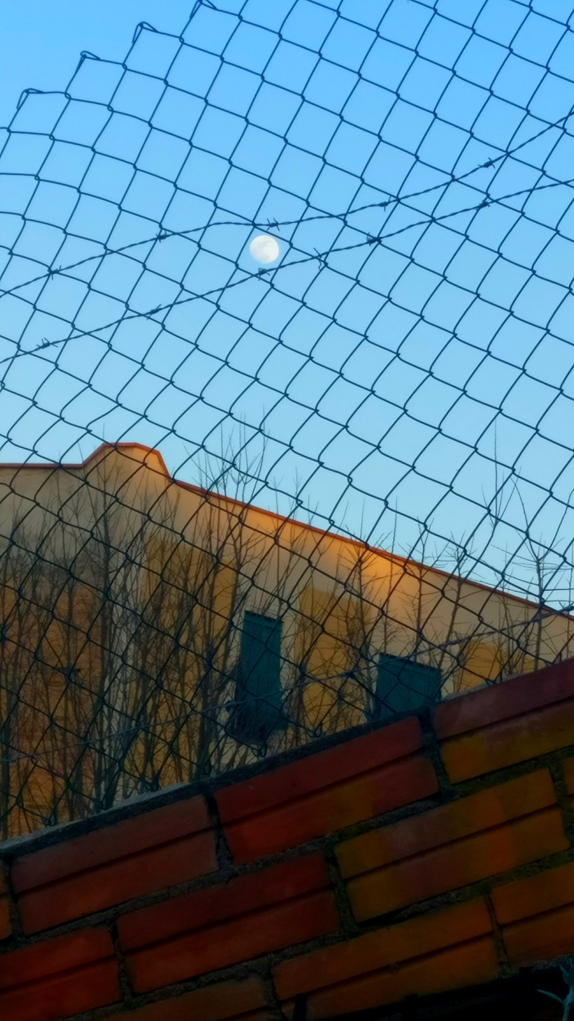 Lluna inscrita