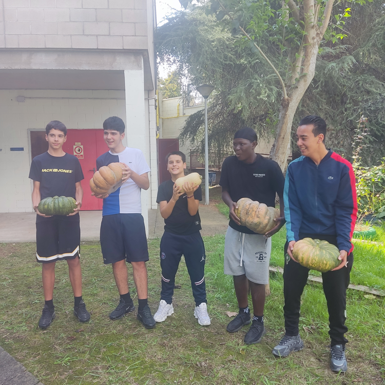 IMG_20240919_141219_2