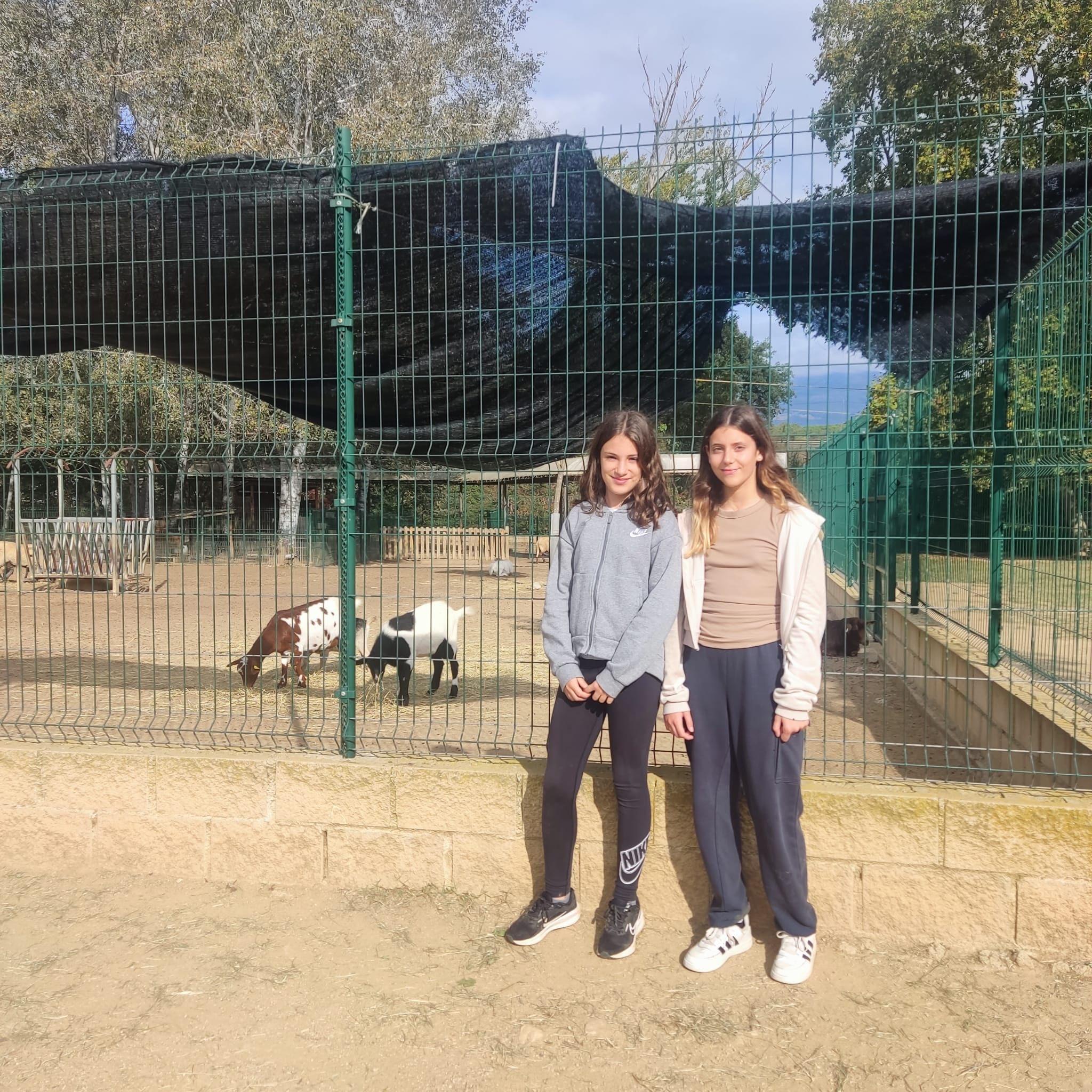 WhatsApp Image 2024-10-25 at 12.00.39 (2)