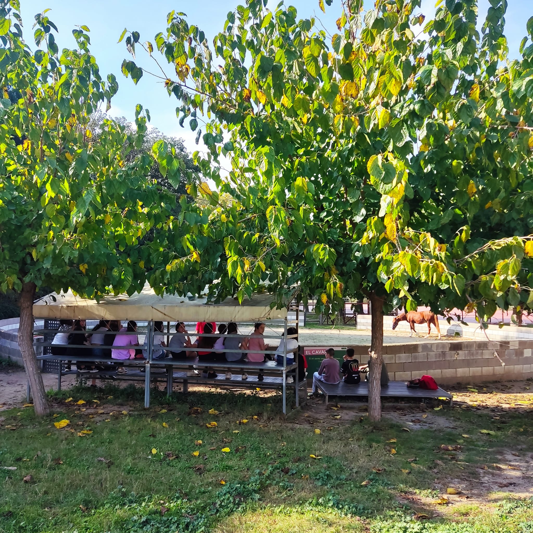 WhatsApp Image 2024-10-25 at 12.00.39 (4)