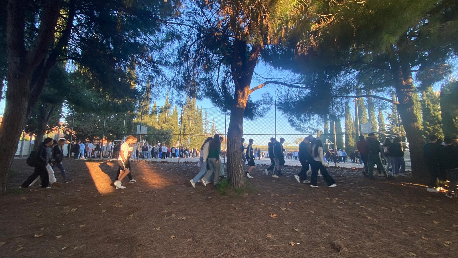 WhatsApp Image 2024-11-18 at 10.40.53 (1)