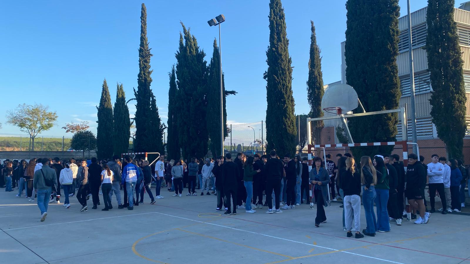 WhatsApp Image 2024-11-18 at 10.40.53 (3)