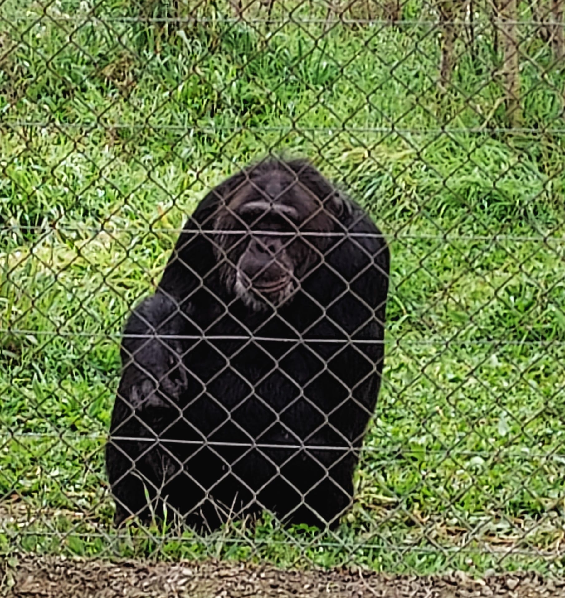 WhatsApp Image 2024-12-11 at 14.09.55 (1)