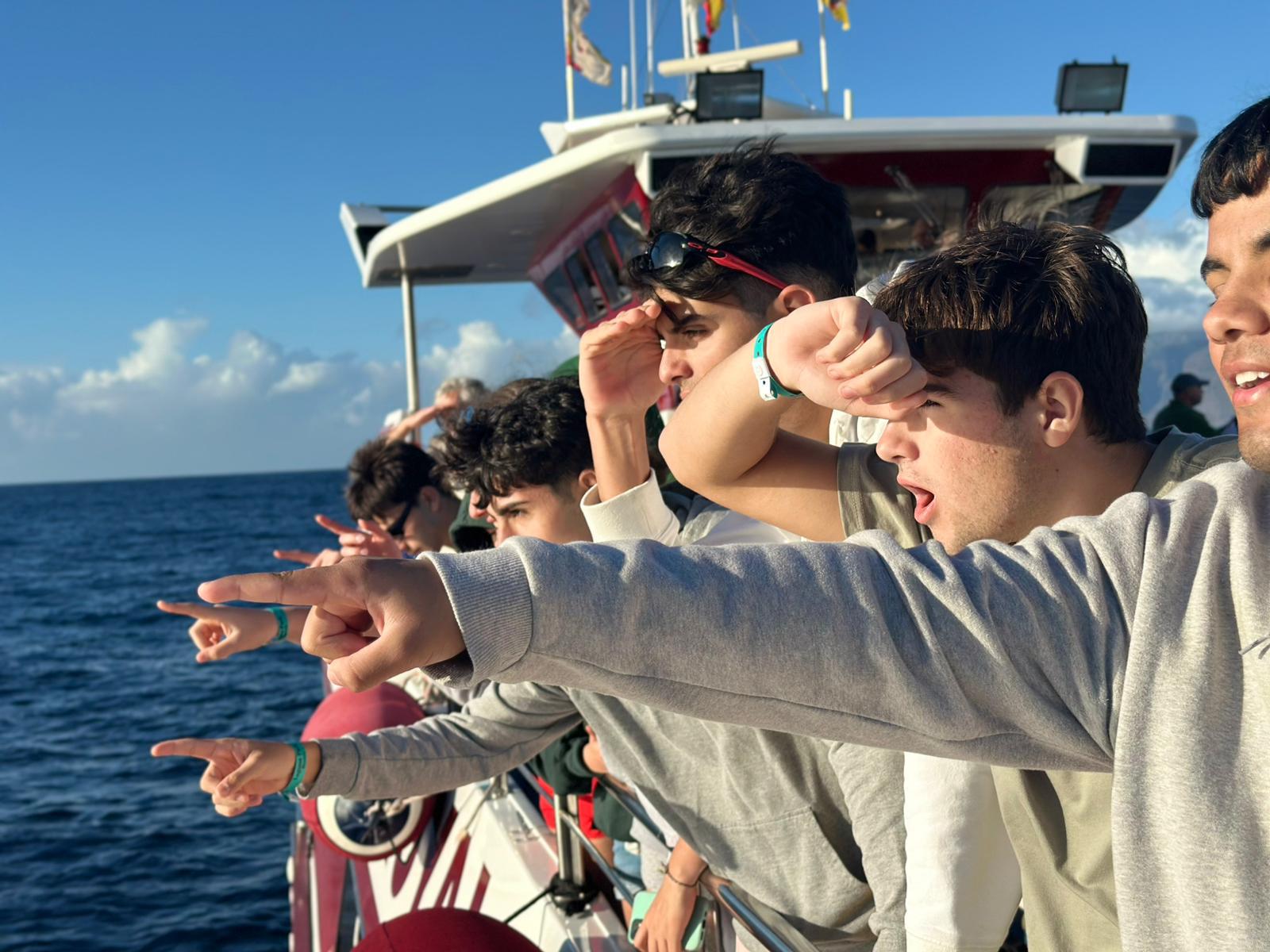 WhatsApp Image 2025-01-24 at 10.04.52 (4)