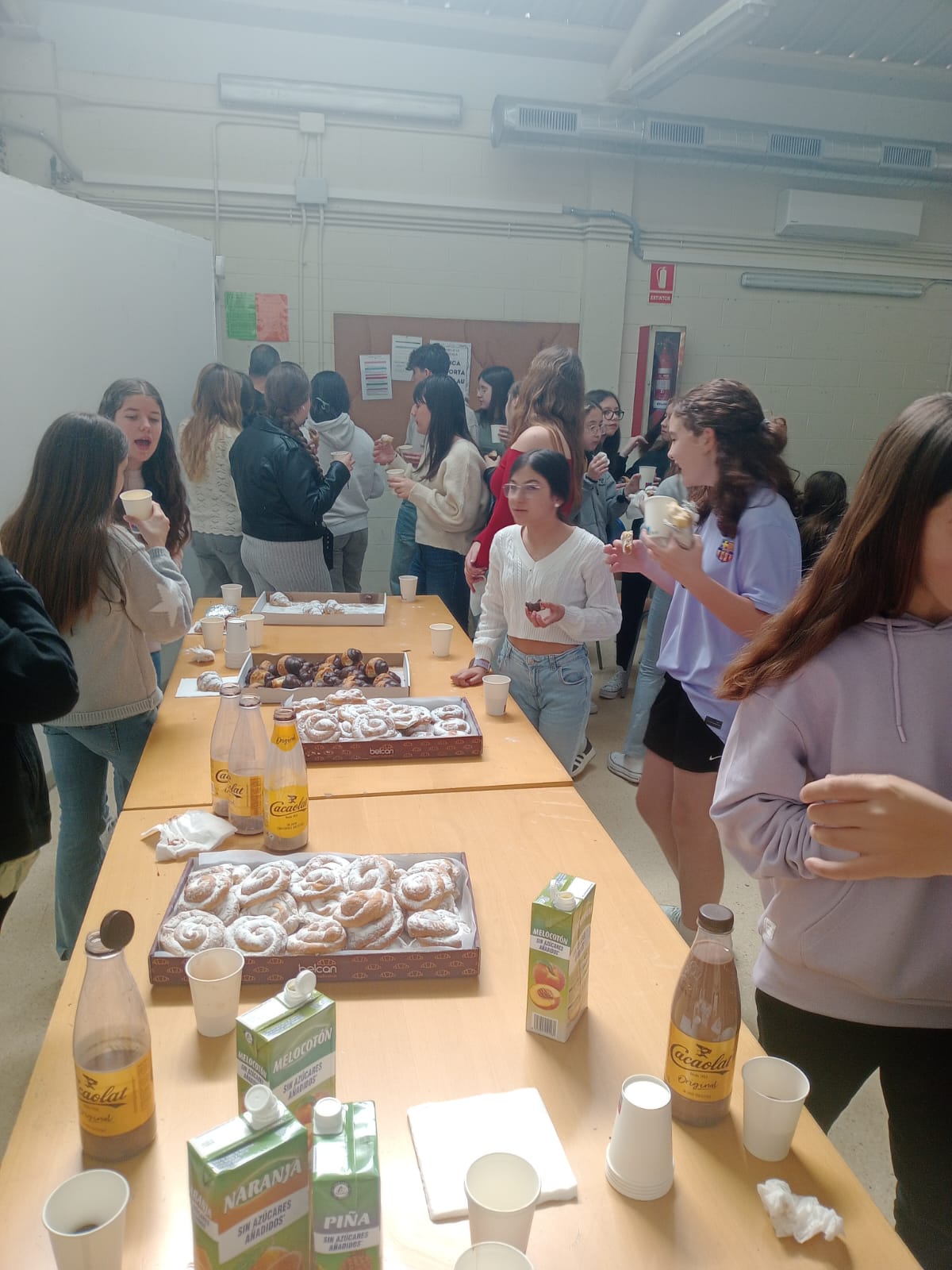 WhatsApp Image 2025-04-08 at 11.07.47