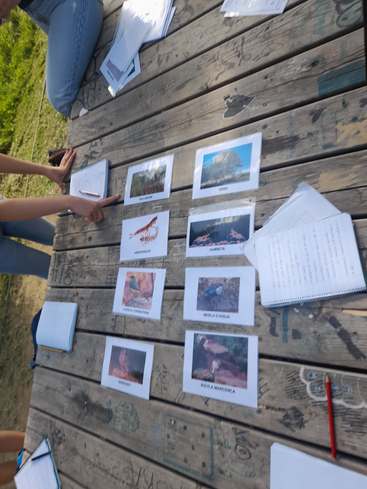 20250520_091641_006_v2