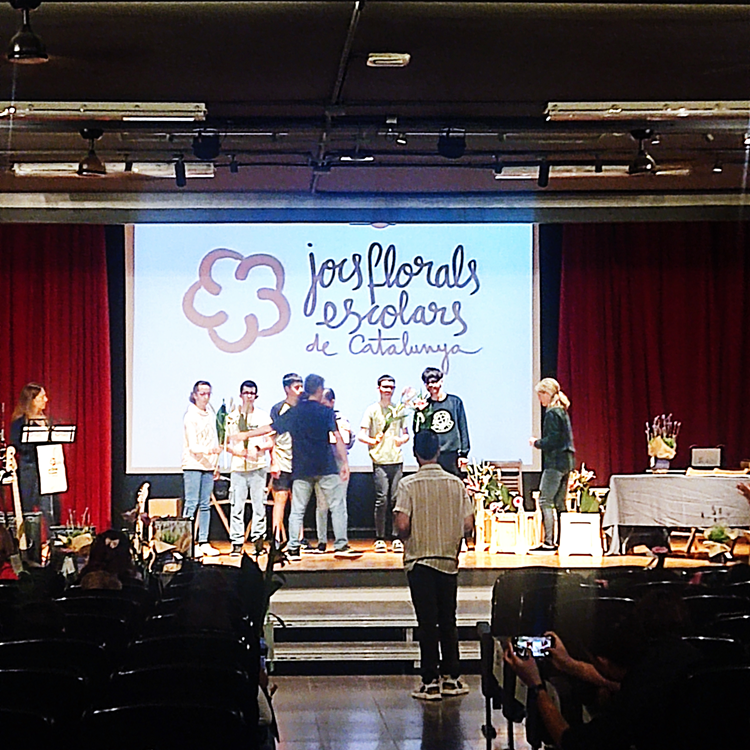 IMG_20250522_104735_V2