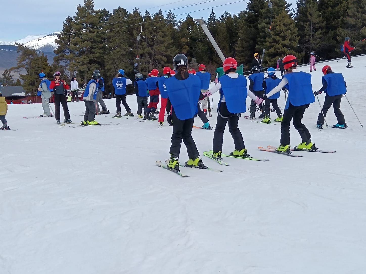 WhatsApp Image 2026-02-19 at 19.39.01