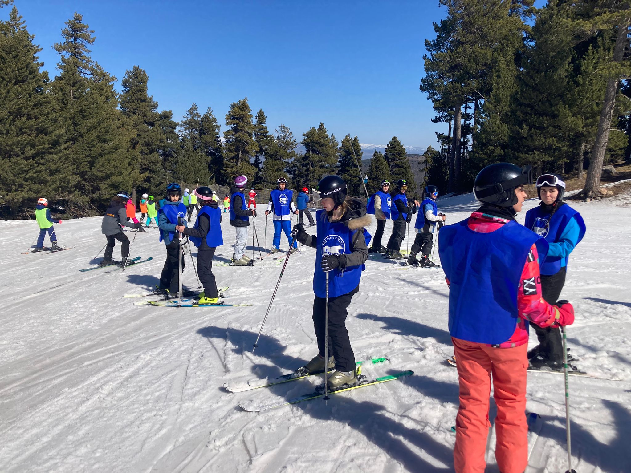 WhatsApp Image 2026-02-26 at 18.13.05