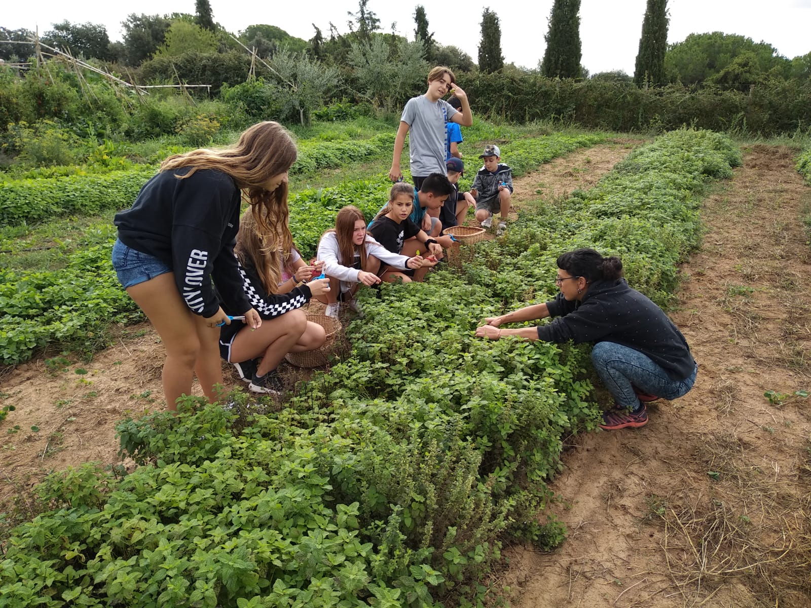 WhatsApp Image 2019-09-3 at 13.18.57