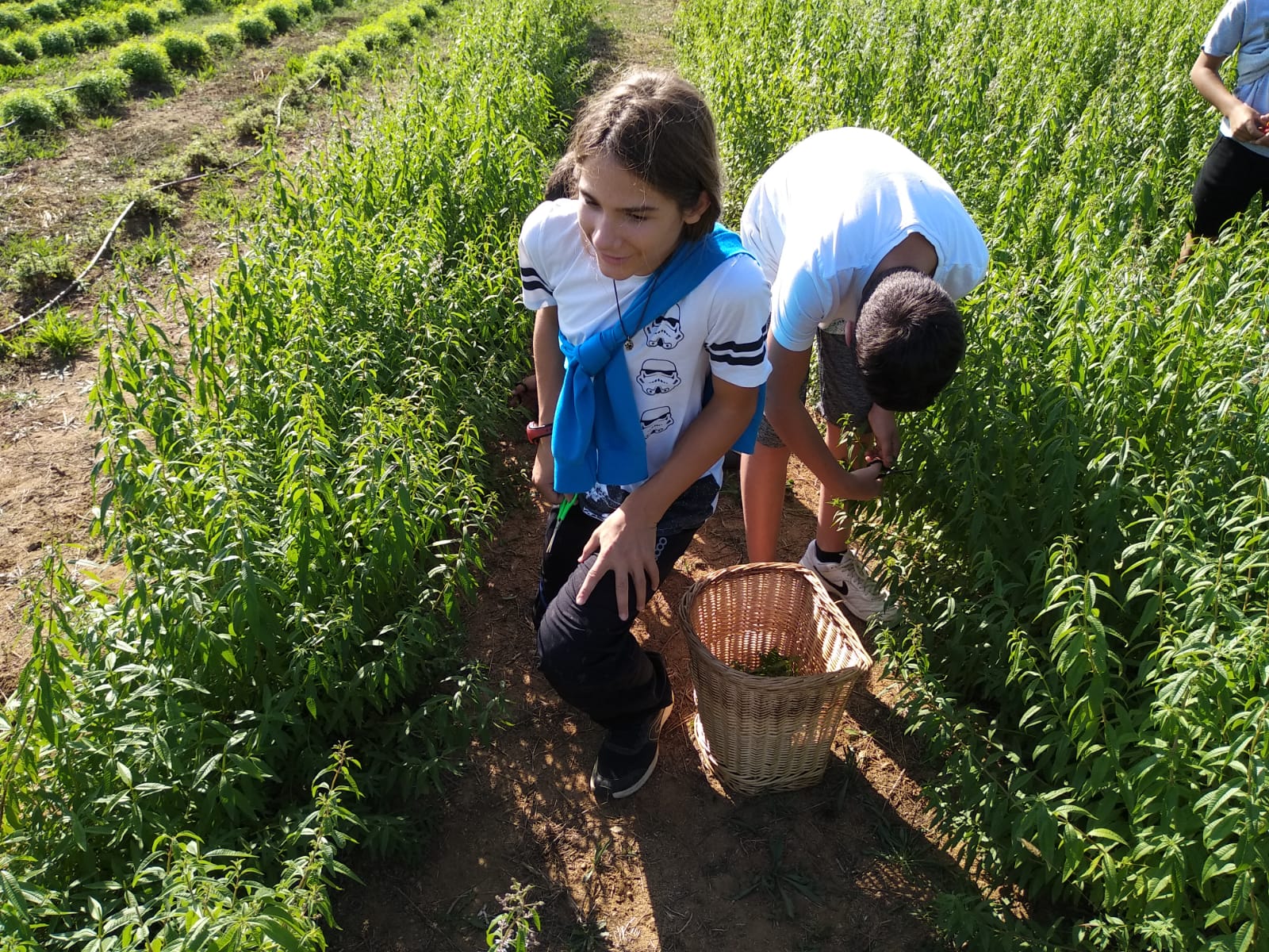 WhatsApp Image 2019-10-04 at 19.37.20